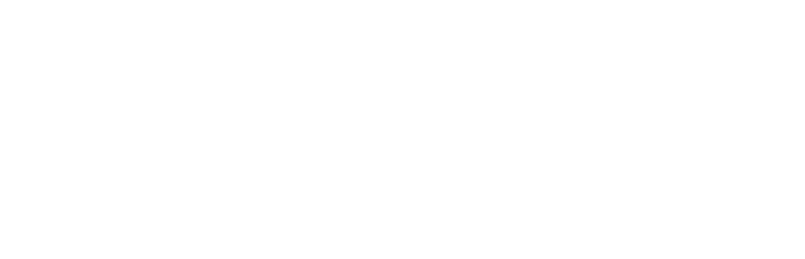 logo DeKnudt mirrors